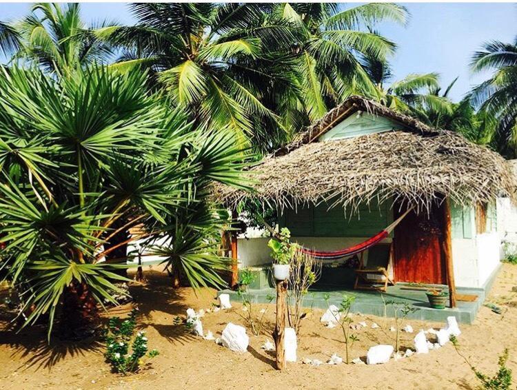 Sun Wind Beach Kalpitiya Kite Resort Extérieur photo