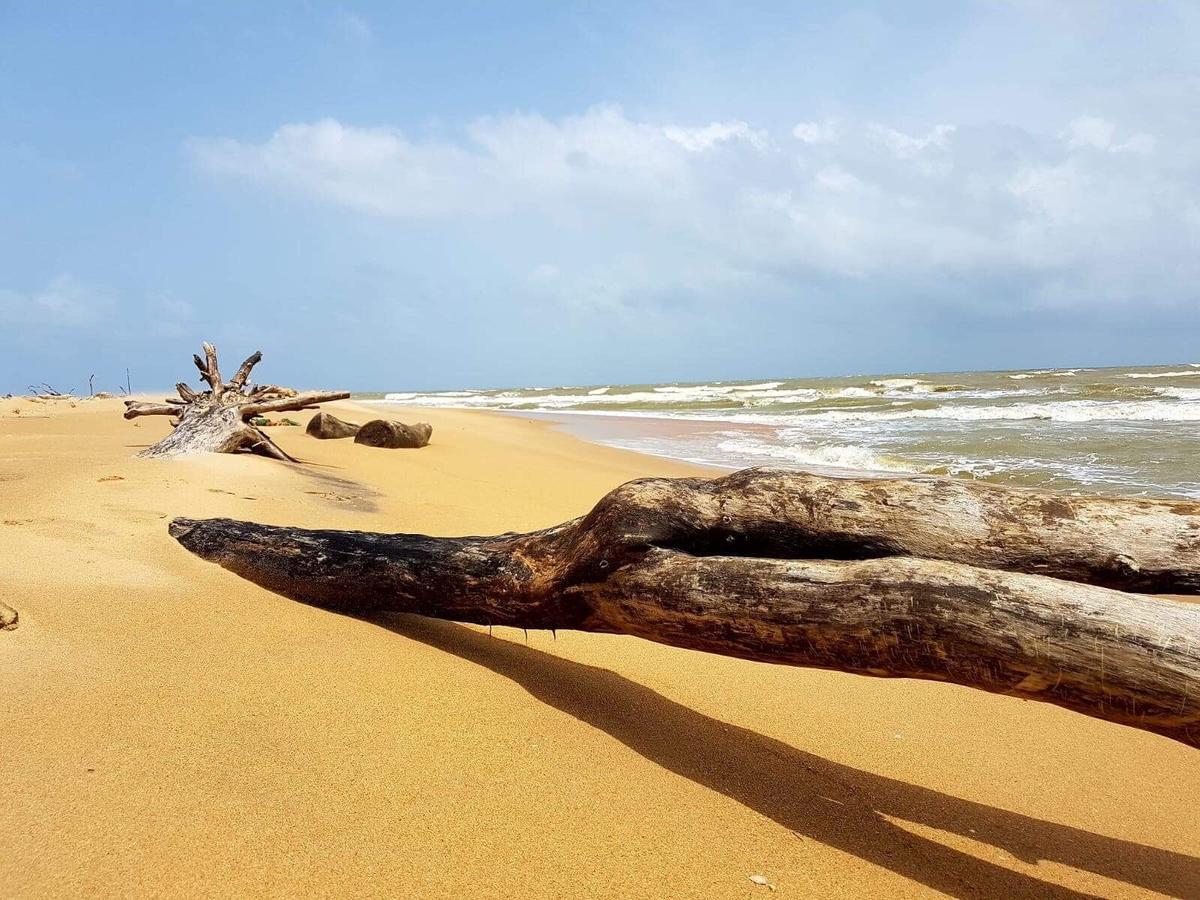 Sun Wind Beach Kalpitiya Kite Resort Extérieur photo